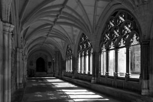 c17-150 BW (Kopie).jpg